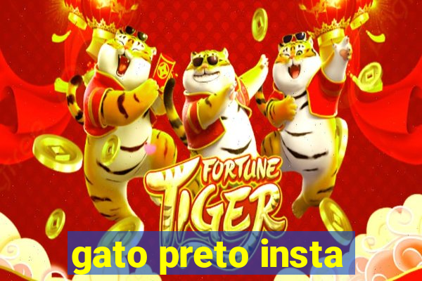 gato preto insta